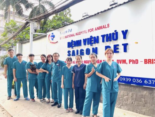 Thank you so much for bringing your pets to Saigon Pet Hospital in Da Nang for medical